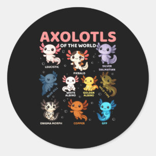 Süße Kawaii Axolotls der Welt Lustiger Axolotl Ty Runder Aufkleber