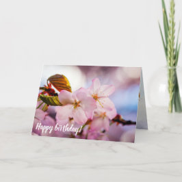 süße Kirschblüten in rosa Farbe und blauer Himmel Karte