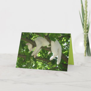 Süße Kitty Katze Süße anpassbare Karte