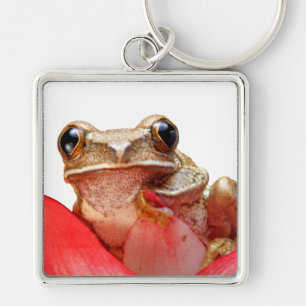 Süße kleine braune Marmorierte Riedfrosch-Rote Blu Schlüsselanhänger