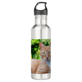 Süße kleine Kätzchen Edelstahlflasche