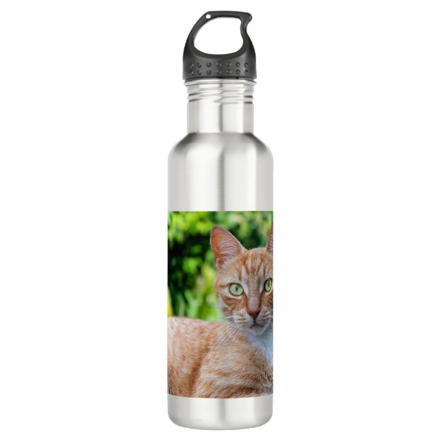 Süße kleine Kätzchen Edelstahlflasche (Vorderseite)