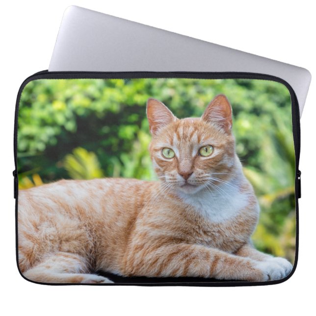 Süße kleine Kätzchen Laptopschutzhülle (Vorderseite)