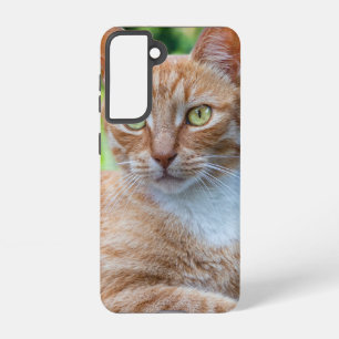 Süße kleine Kätzchen Samsung Galaxy Hülle