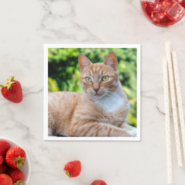 Süße kleine Kätzchen Serviette