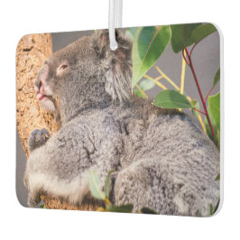 Süße kleine Koala Autolufterfrischer