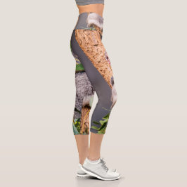 Süße kleine Koala Capri Leggings