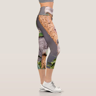 Süße kleine Koala Capri Leggings