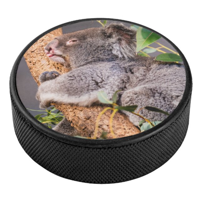 Süße kleine Koala Eishockey Puck (3/4)