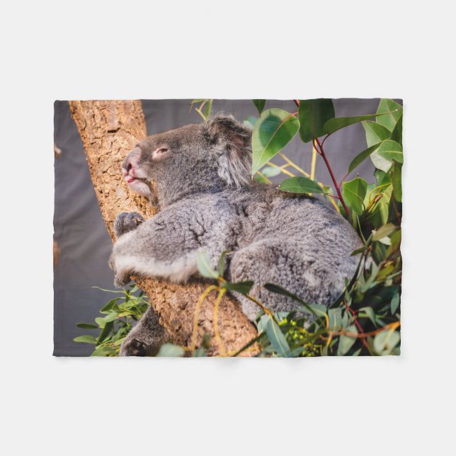 Süße kleine Koala Fleecedecke (Vorderseite (Horizontal))