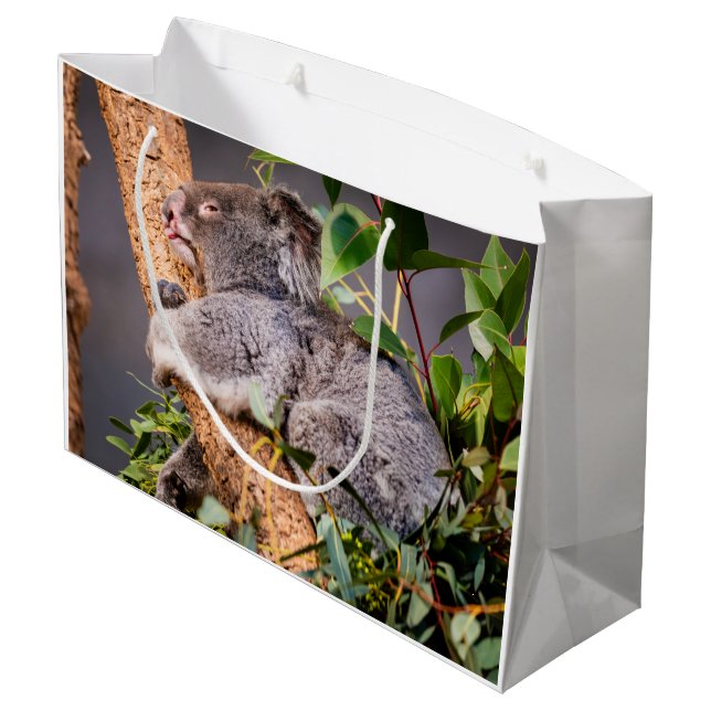 Süße kleine Koala Große Geschenktüte (Rückseite Schrägansicht)