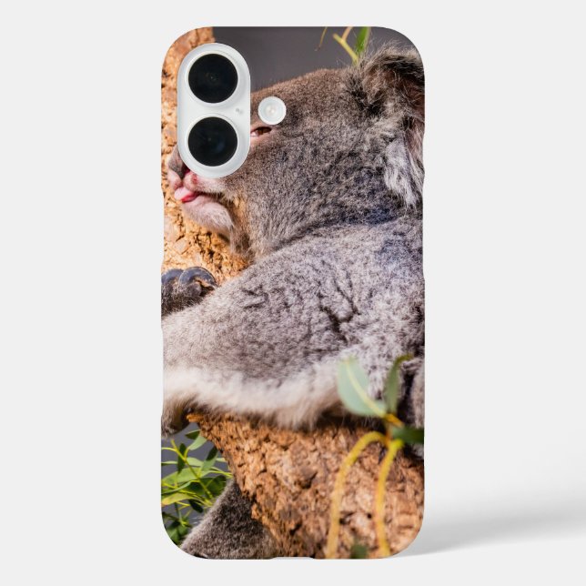 Süße kleine Koala iPhone 16 Hülle (Rückseite)