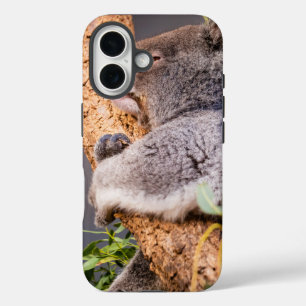 Süße kleine Koala iPhone 16 Hülle