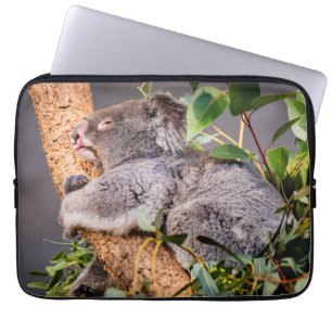Süße kleine Koala Laptopschutzhülle