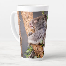 Süße kleine Koala Milchtasse