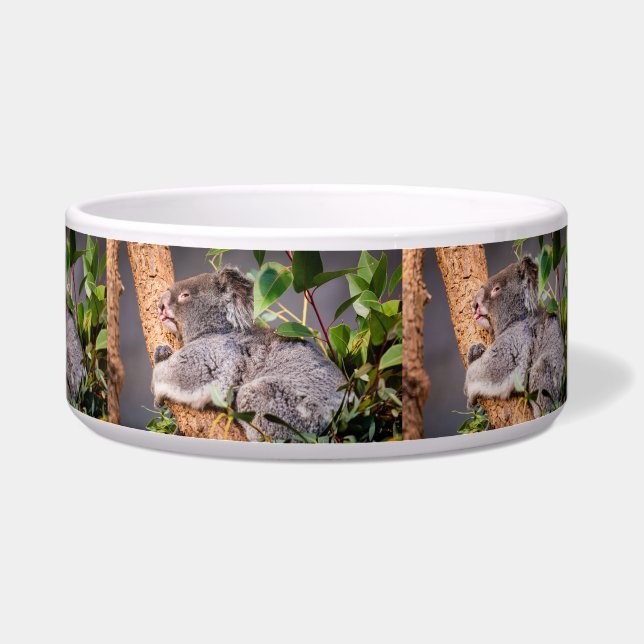 Süße kleine Koala Napf (Rechts)