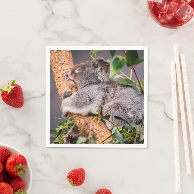 Süße kleine Koala Serviette (Beispiel)