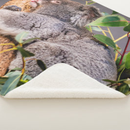 Süße kleine Koala Sherpadecke