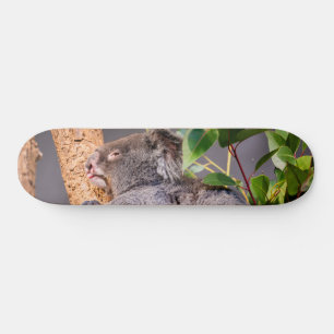 Süße kleine Koala Skateboard