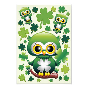 Süße kleine St. Patrick Cartoon-Eule Fotodruck
