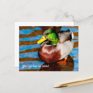 Süße kleine Stockenten-Postkarte Postkarte