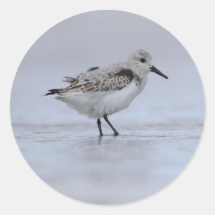 Süße kleine Strandmeer Ozean Wasser Vogel Runder Aufkleber