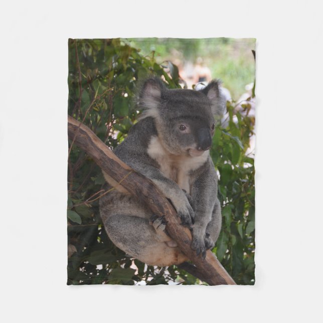 Süße Koala-Bärn-Fleece-Decke Fleecedecke (Vorderseite)