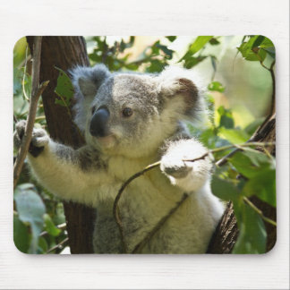 Süsse Koala Mousepad