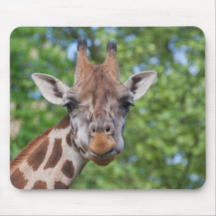 Süße Kuriositäten Giraffe Mousepad