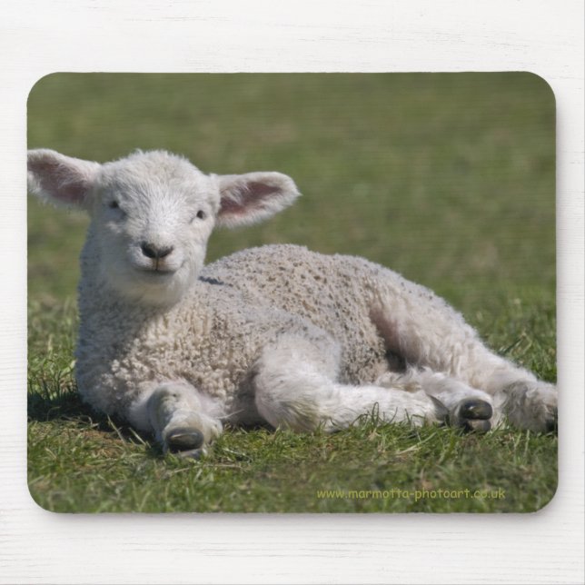 Süße Lamm-Mausunterlage Mousepad (Vorne)