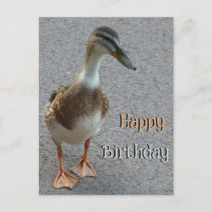 Süße laufende Ente. Happy Birthday Grußkarte Postkarte