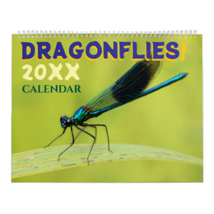 Süße Libellen im Natur-Wandkalender Kalender