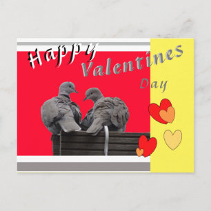 Süße Liebesvögel Valentinstag Postkarte