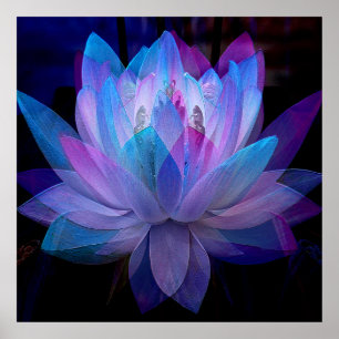 Süße Lotus.... Poster