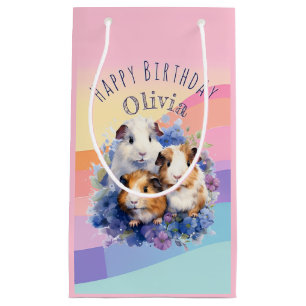 Süße Meerschweinchen Haustiere Hübsche Alles Gute  Kleine Geschenktüte