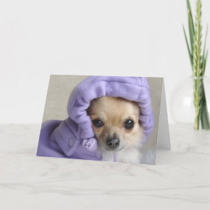 Süße Minxgrußkarte (kein Text) Karte