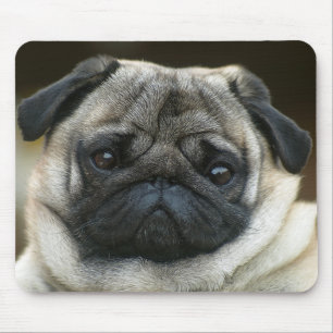 Süße Mops-Welpen-Mauspad Mousepad