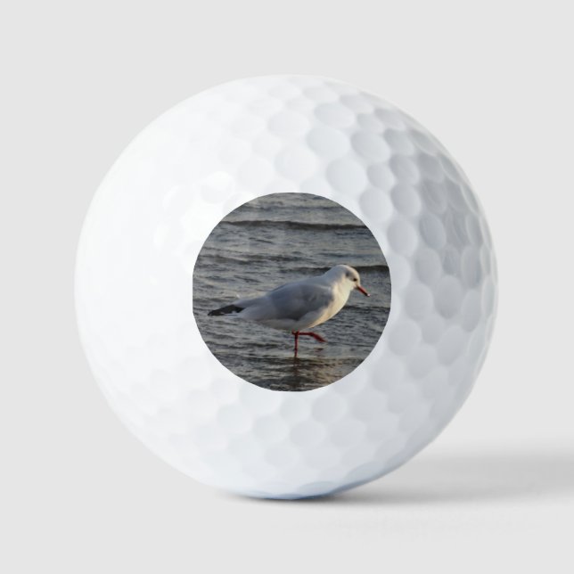 Süße Möwe Golfball (Vorderseite)