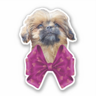 Süße Nala Shih Tzu Welpenhündin Aufkleber