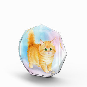 Süße orange getigerte Katze Fotoblock