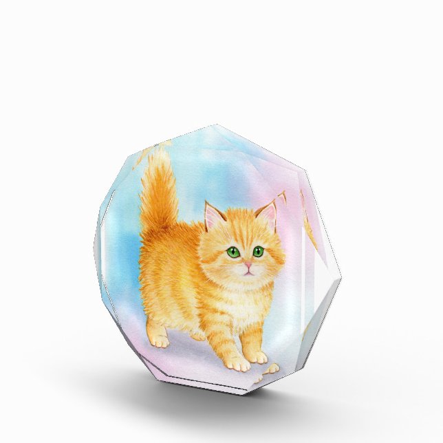 Süße orange getigerte Katze Fotoblock (Rechts)