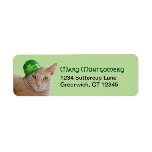 Süße orange Katze mit grüner irischer Mütze Adress