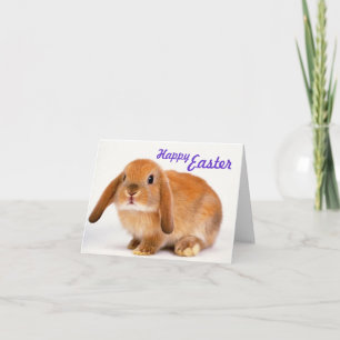 Süße Ostern-Karte mit Häschen Feiertagskarte