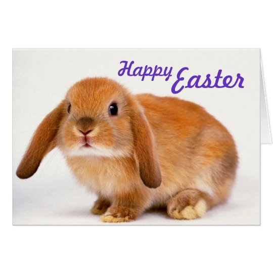 Süße Ostern-Karte mit Häschen Karte