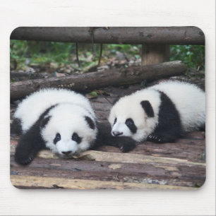 Süße Panda-Babys-Mauspad Mousepad