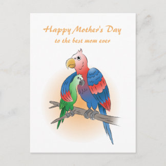 Süße Papageien Muttertag Feiertagspostkarte