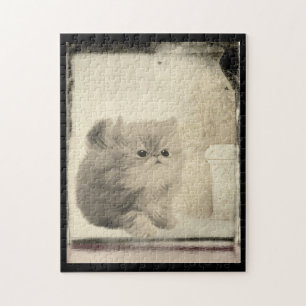 Süße persische Katze im Vintage-Look
