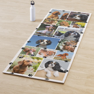 Süße Pfotenabdrücke 14 Haustierfotos Yogamatte