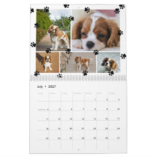 Süße Pfotenabdrücke Fotocollage Haustiere Kalender