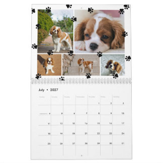 Süße Pfotenabdrücke Fotocollage Haustiere Kalender
